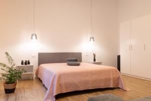 House Nenni 45