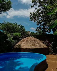 PAUI Eco room