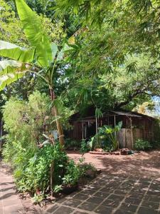 PAUI Eco room
