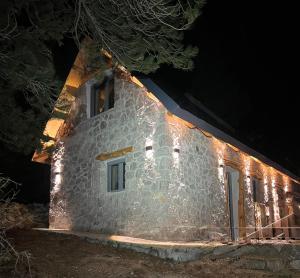 Cedar Wood Cabin