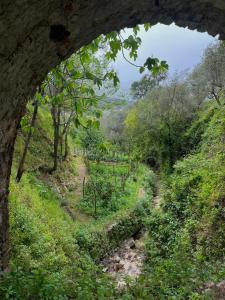 Corte Degli Ulivi Resort