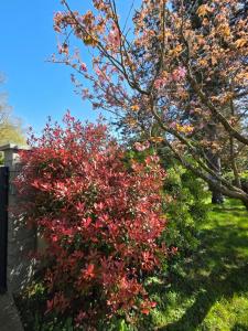 Arc en Ciel du Mont B&B