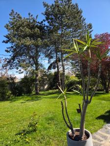 Arc en Ciel du Mont B&B