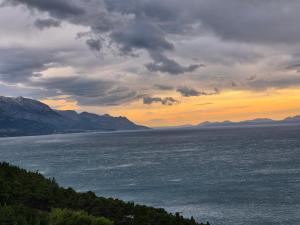 Mimice Hills Penthouse