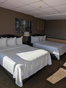 Beaver Motel