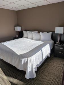 Beaver Motel