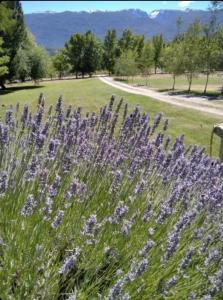 Patagonia Villa and Chalet Experience