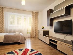 Modern Studio Colentina