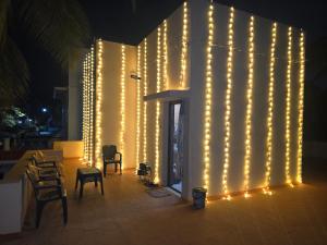 Alffys home stay