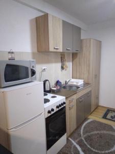 Sunny park apartment