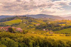 Alma Vista Luxury Villa - Happy Rentals