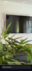 Forest Path Apartment Quiet Countryside Retreat with Sauna, Sleeps 4