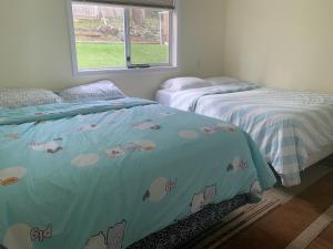 Hammond bay planta house