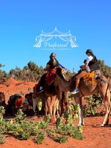 Preferred Luxury Camp
