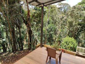 Boutique in the Forest Natural Refuge