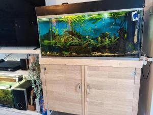 Marijano Dvosobni apartman s vrtom