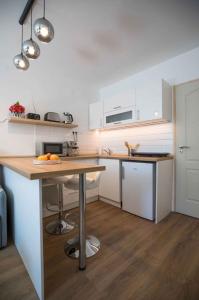 Studio Beachfront in Fonyod-Balaton 55423