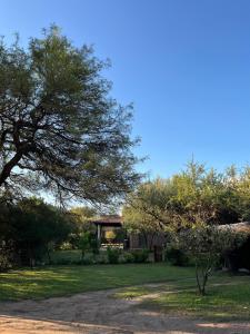Departamento Adán