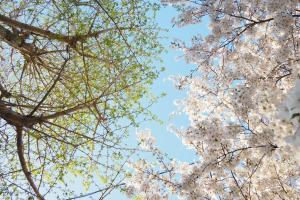 諏訪ン荘 Nagasaki guesthouse suwansou