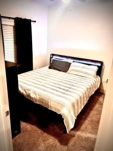 New! 1 Bed 1 Bath Medical Center NRG Area Middle of Everywhere