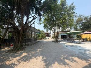 Panorama Villa Huế Nguyên Căn