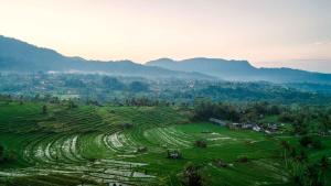 2BR Villa with Rice Field & Mountain Views Sidemen