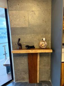 Luxury Beachfront Apartment in Costa Azul