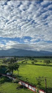 The Happy Hive - gateway for darjeeling