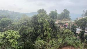 Vega tourist lodge
