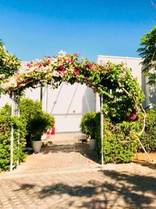 Oceanami villa Resort từ 1PN đến 5PN - Đầy đủ tiện nghi - Bếp nấu - BBQ - Hồ bơi - Sát Biển Long Hải - Hồ Tràm - Vũng Tàu