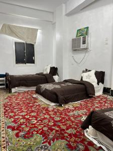 ريحانة المدينة