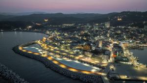 경주감포 하운드 스틸코브