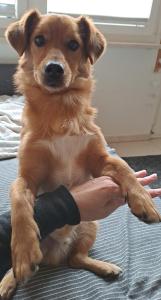 Zu Hause fern von zu Hause