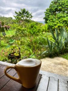 North Bali Eco Cabin Nature Retreat