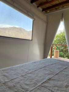 Casa glamping Bambucamp