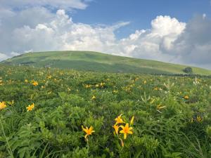 Guesthouse HOALOHA 4 SEASONS