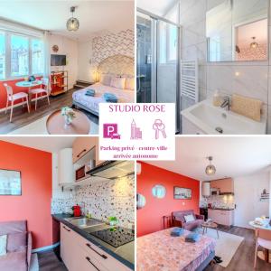 Rose Roanne centre-ville - Parking & Clim
