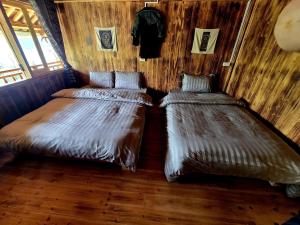 Sapa Hmong Culture Homestay and Trekking tour