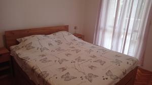 Apartments D & P