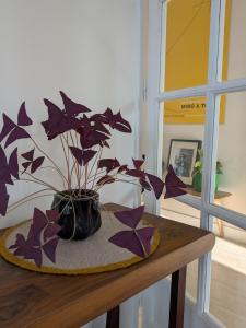 Appartement familial calme long séjour proche Paris