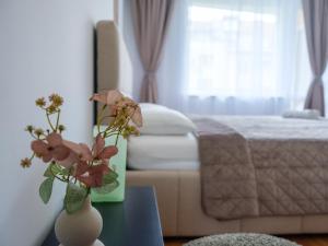 Shazam Apartment Central, Stylish & Cozy near AUBG
