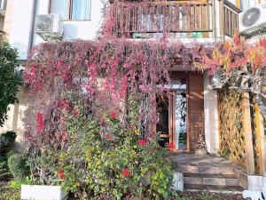 Apartments - Garden of Eden