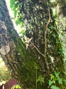 La Maison Hobbit Troglodyte