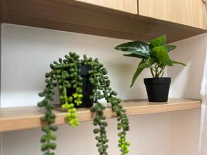 Condo Near Ayala Central Bloc - AVIDA RIALA IT PARK