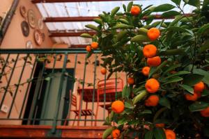 Colosseo Garden Lodge