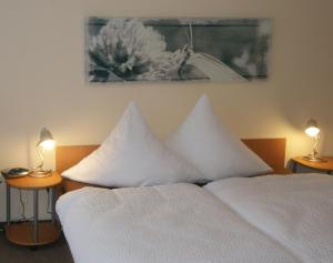 Hotel Ferienhotel Carolaruh Bad Elster Germania