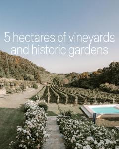 Villa Fabiani, Historic Wine Estate, Štanjel