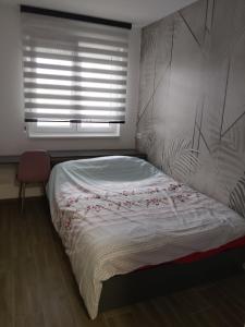 Apartman 45