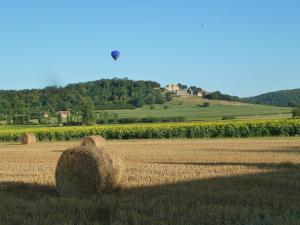 Appartements Appartement centre medieval - Le Cosy de Sarlat : photos des chambres