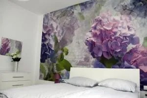 Ka Star - 卡尔洛瓦茨